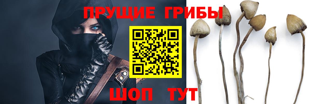 Псилоцибиновые грибы Cubensis  Вход с VPN  Мелеуз 